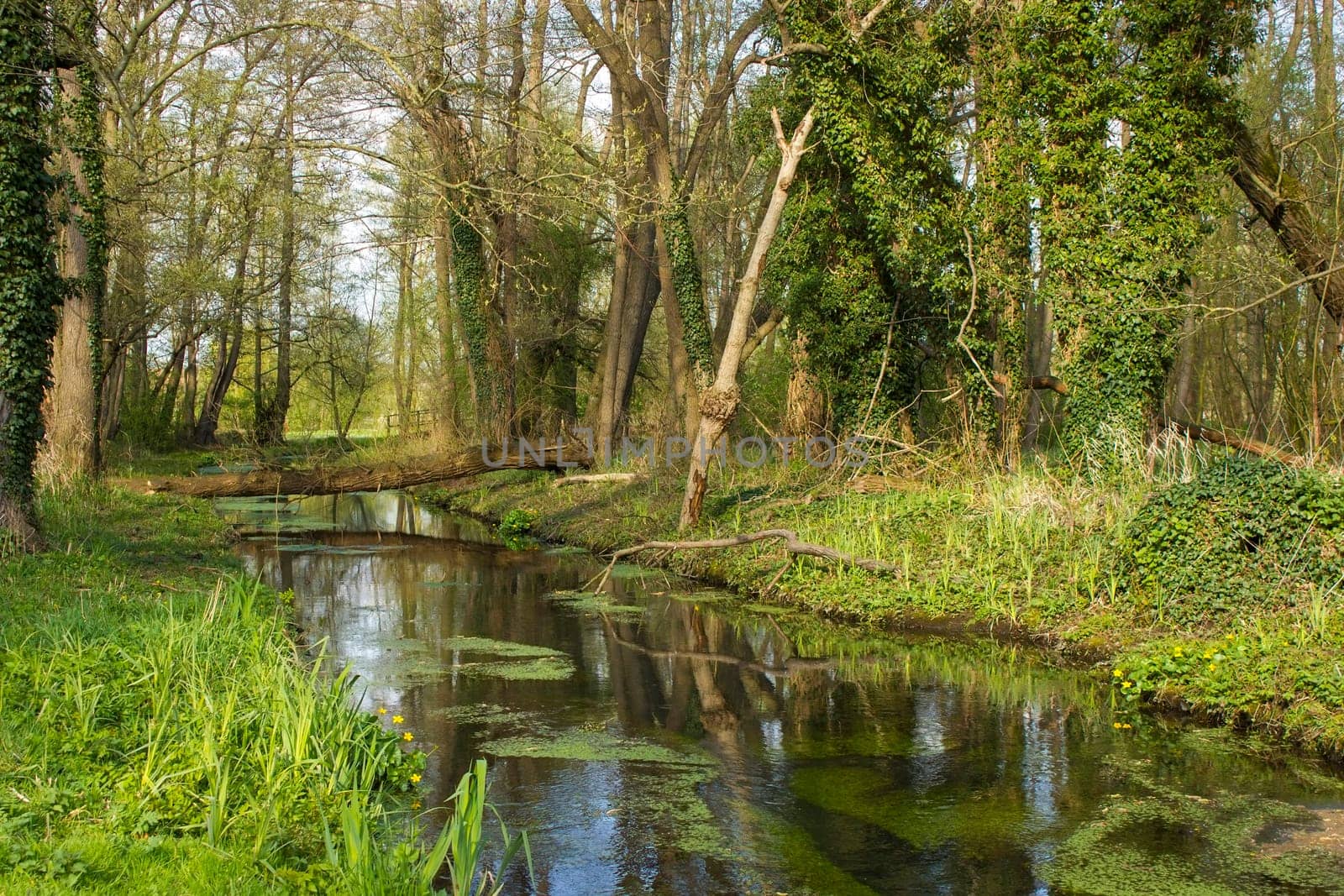 German countryside landscape, Fleuth river in Issum, Lower Rhine Region, Germany