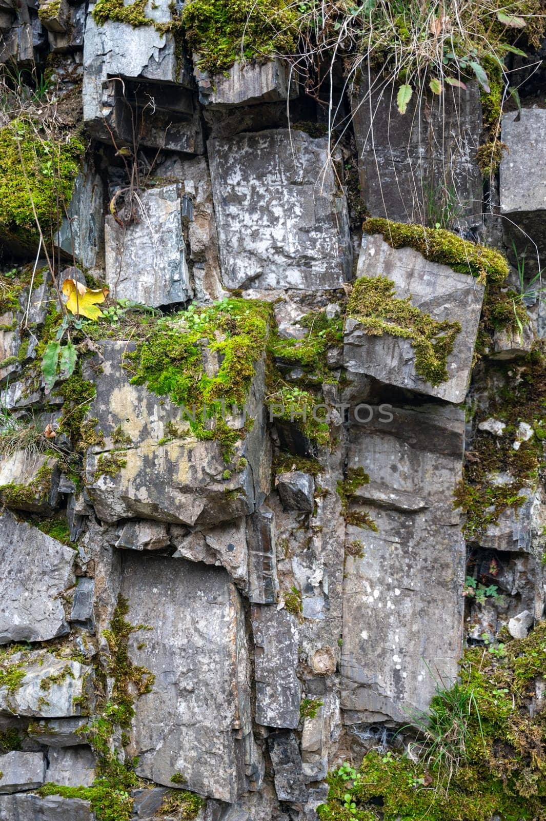 High rocky stone wall with green moss