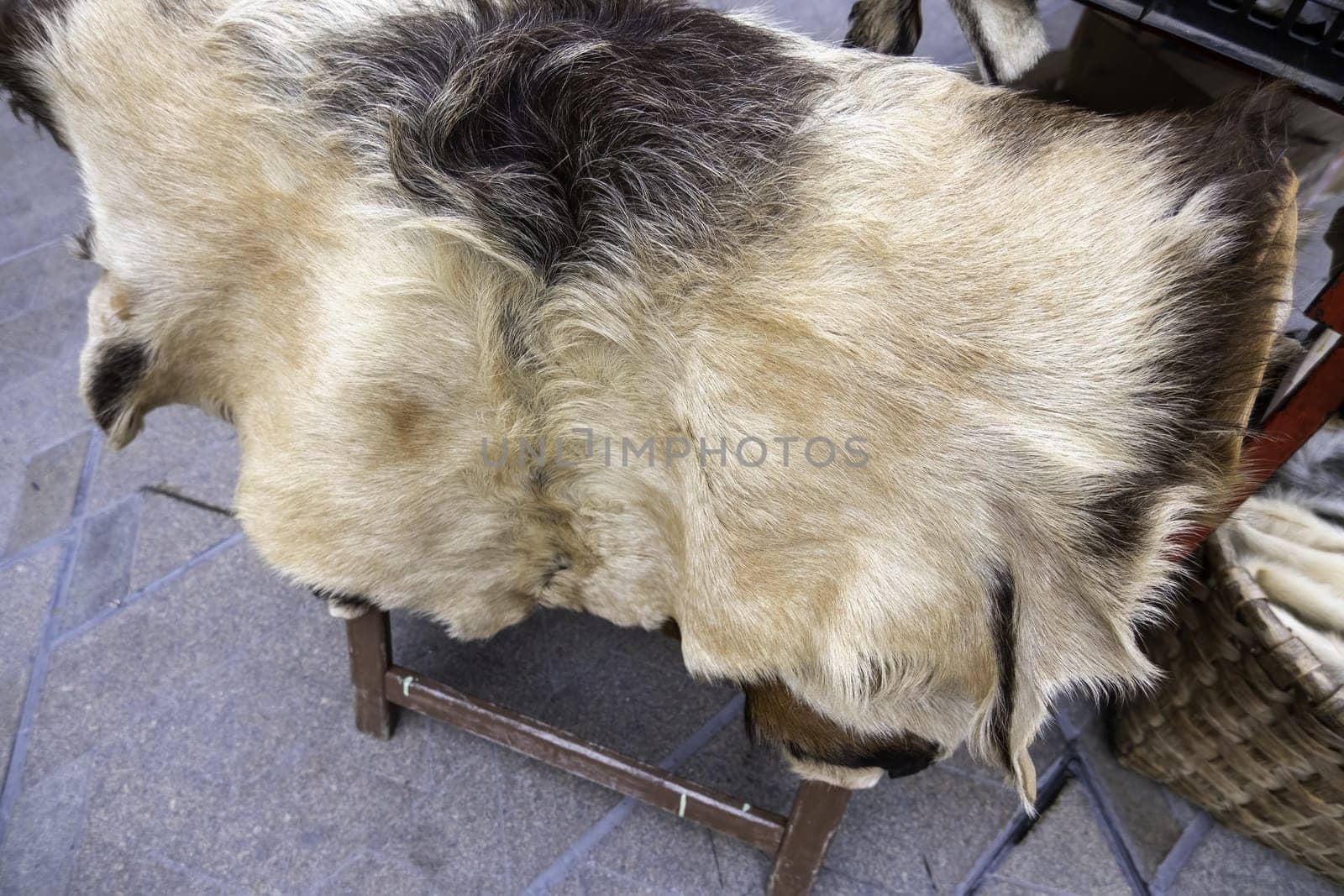 Detail of tanned animal skin for clothing, animal abuse and death