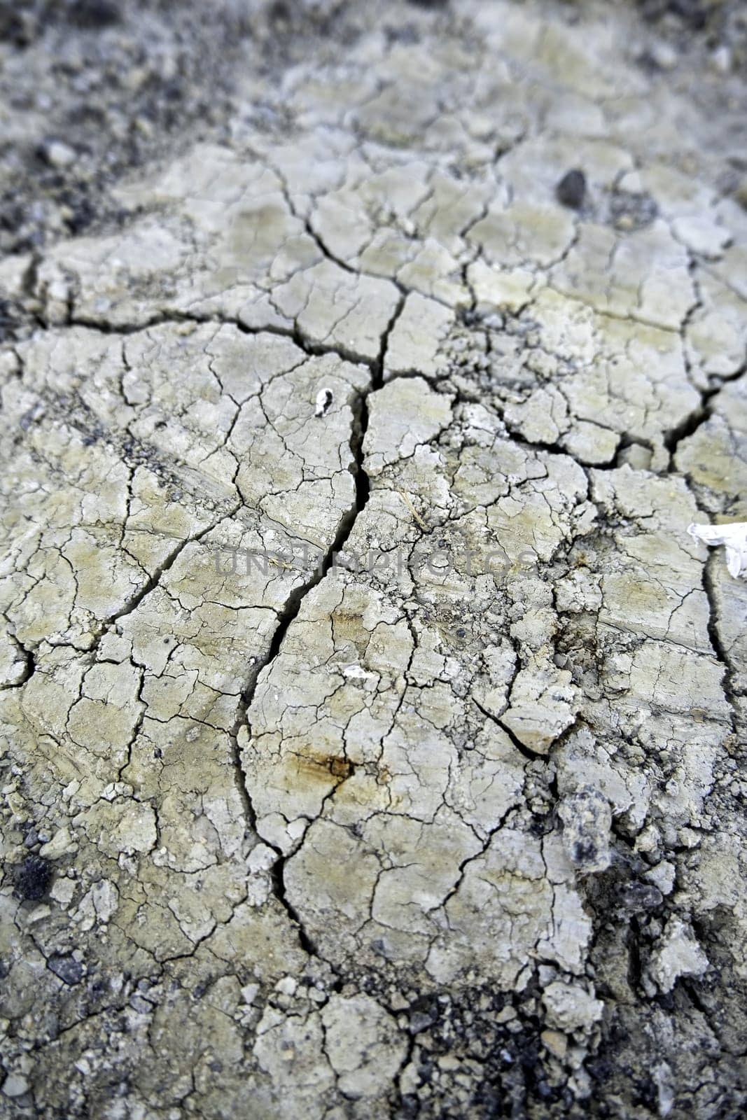 Detail of drought and climate change, destruction of the environment
