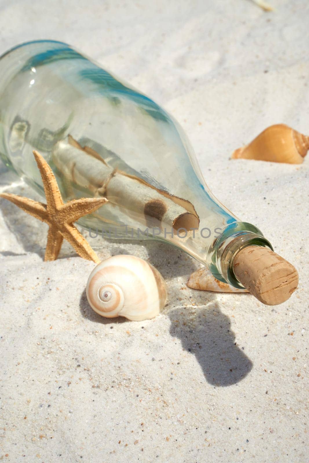 Bottle mail and mussels lie on the sandy beach