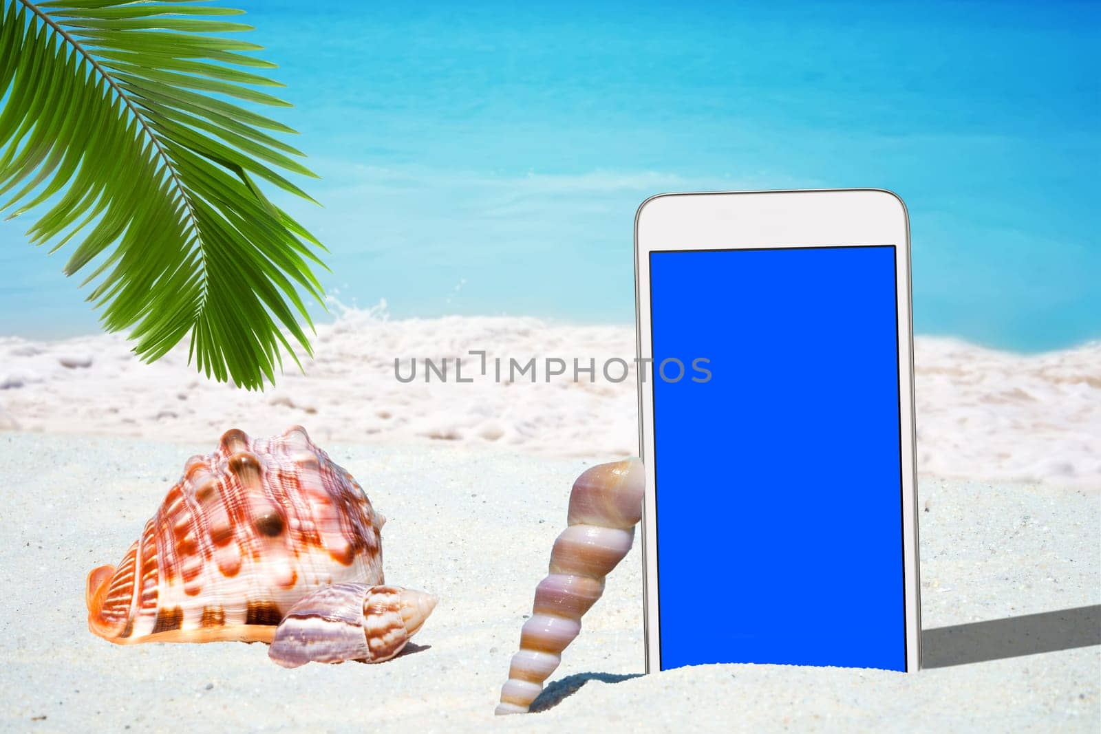 White smartphone and mussels under palm fronds on the beach