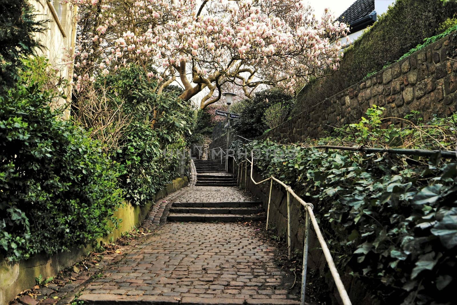 Blankeneser stairs district in Hamburg on the Elbe