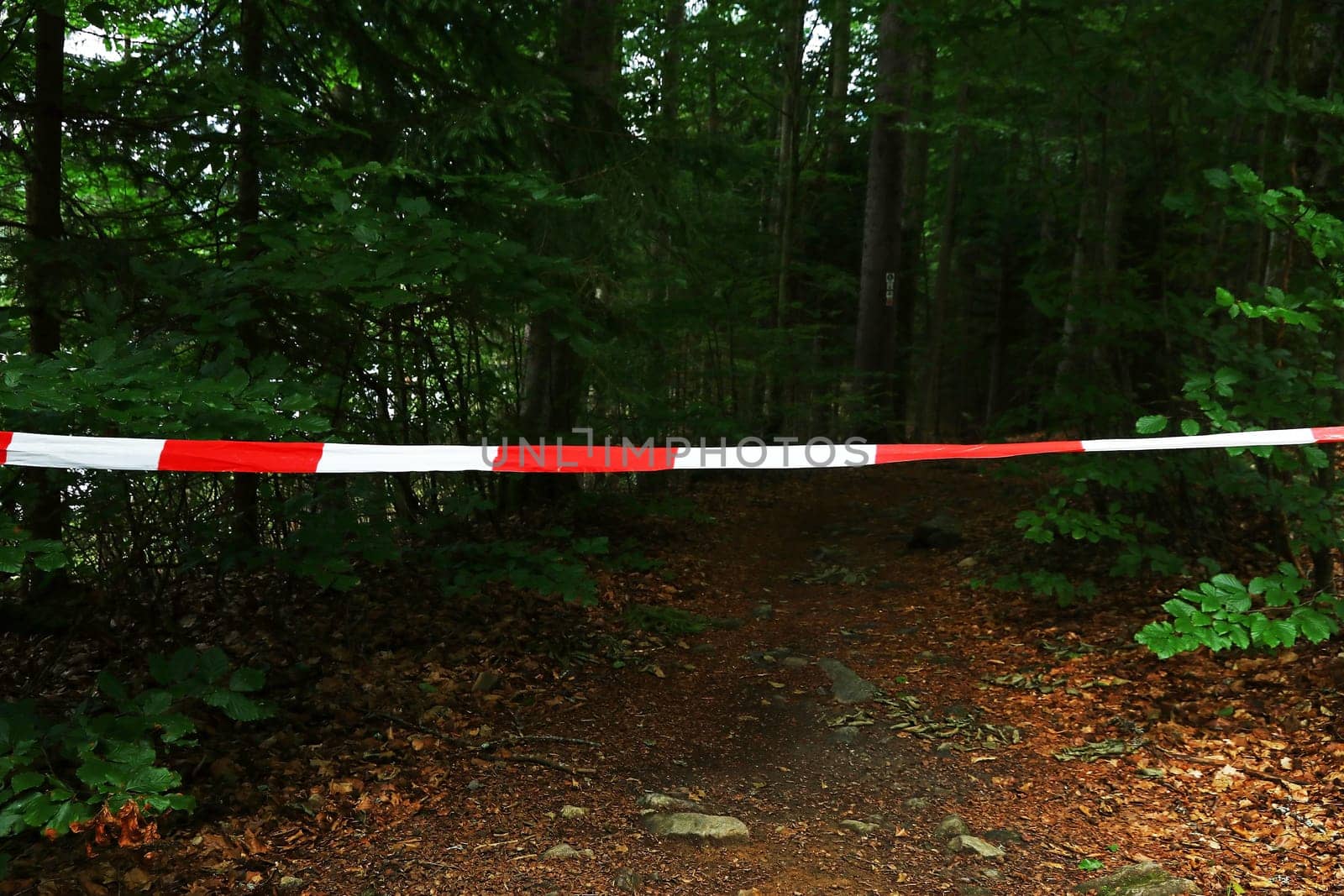 A barrier tape for a crime scene or a dangerous forest trail