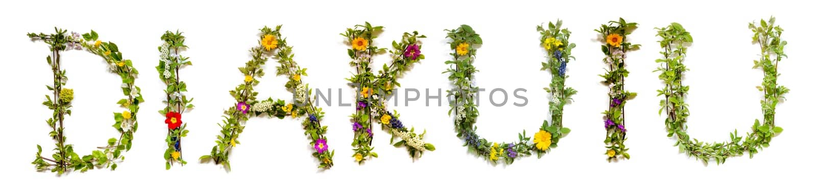 Colorful Flowers Building Ukrainian Text Diakuiu, Means Thank You in English, Some Green And Some Spring Flowers on Isolated White Background, Symbolic Meaning, Quote