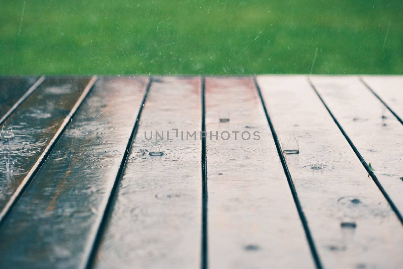 Closeup of wood planks while raining in perspective with grass at the top. Background of wooden natural surface and raindrops
