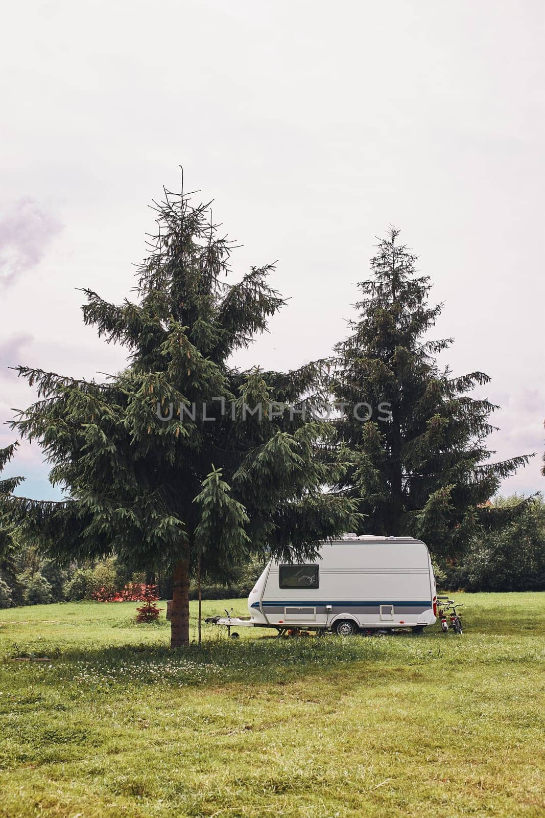 Caravan left among the pine trees on campsite. Copy space top and bottom
