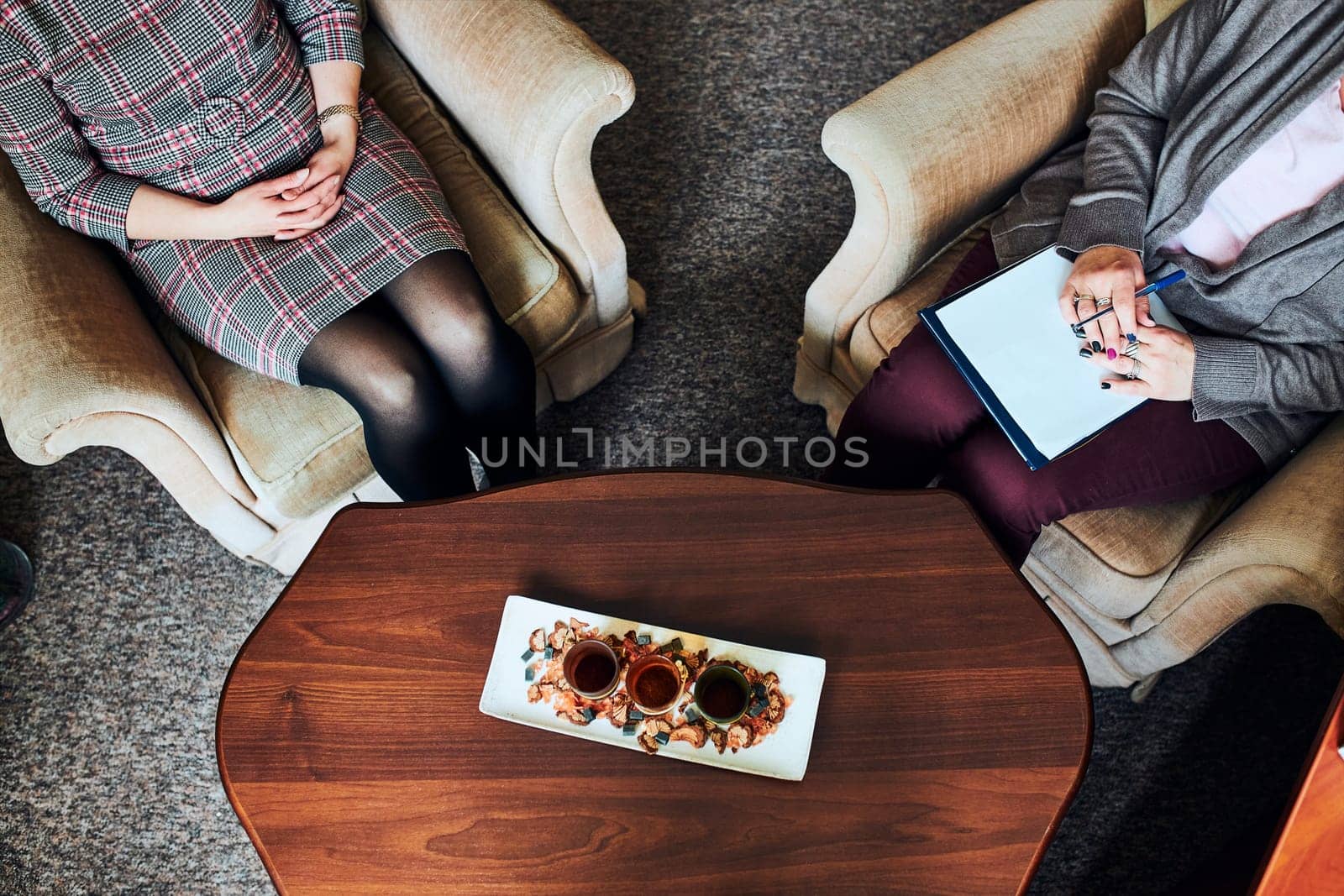 Professional psychologist doctor giving the consult to female patient. Close shot from above of two women during psychotherapy session. Therapist writing down notes during meeting with her female patient. Consulting and therapy concept. Real people, authentic situations