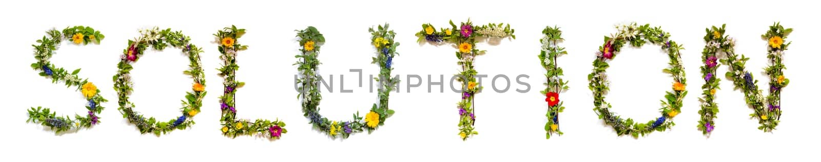 Blooming Flower Letters Building English Word Solution. Colorful Spring and Summer Blossoms. White Isolated Background.