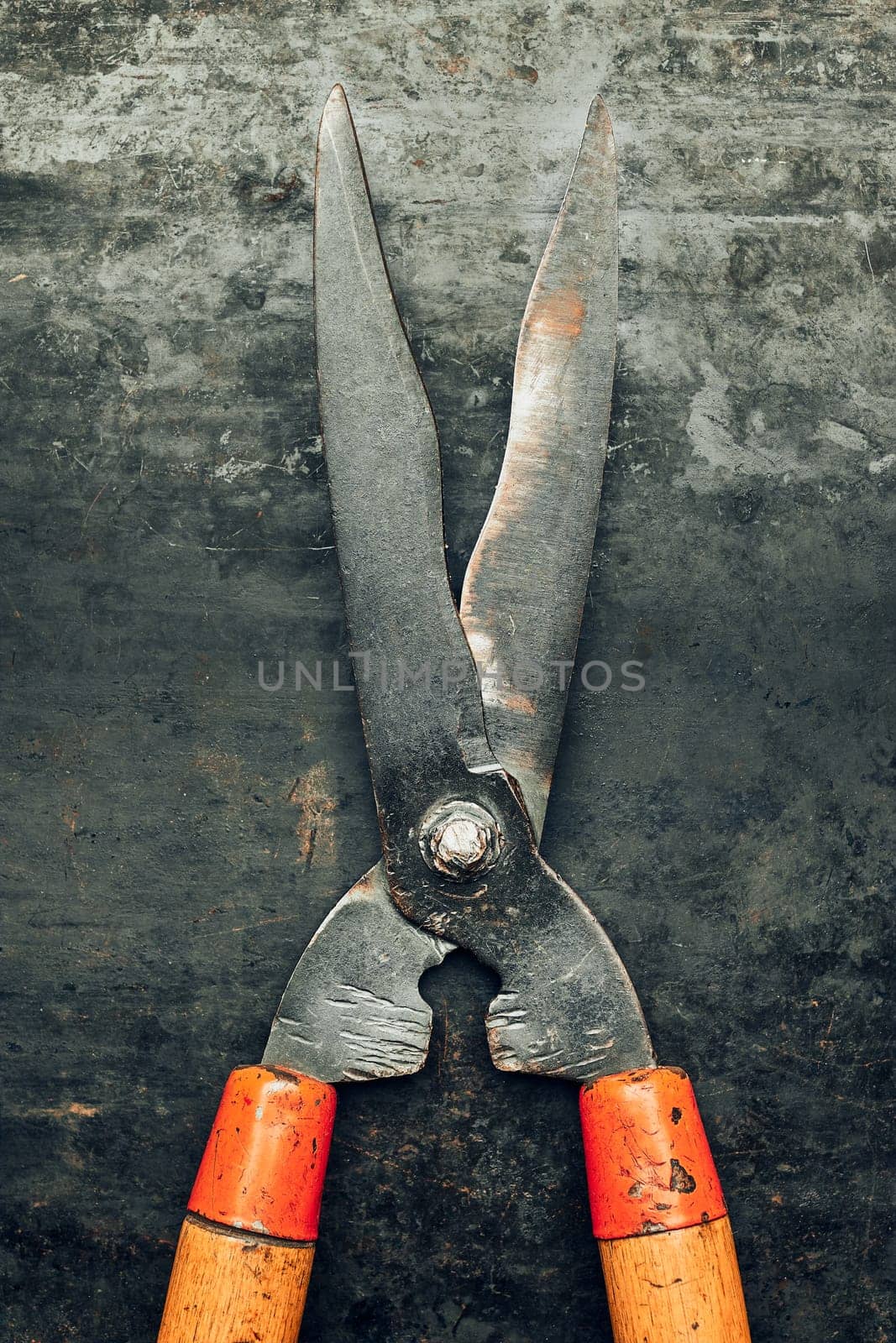Clippers on metal surface. Gardener shears for maintenance of garden. Technical background with copy space