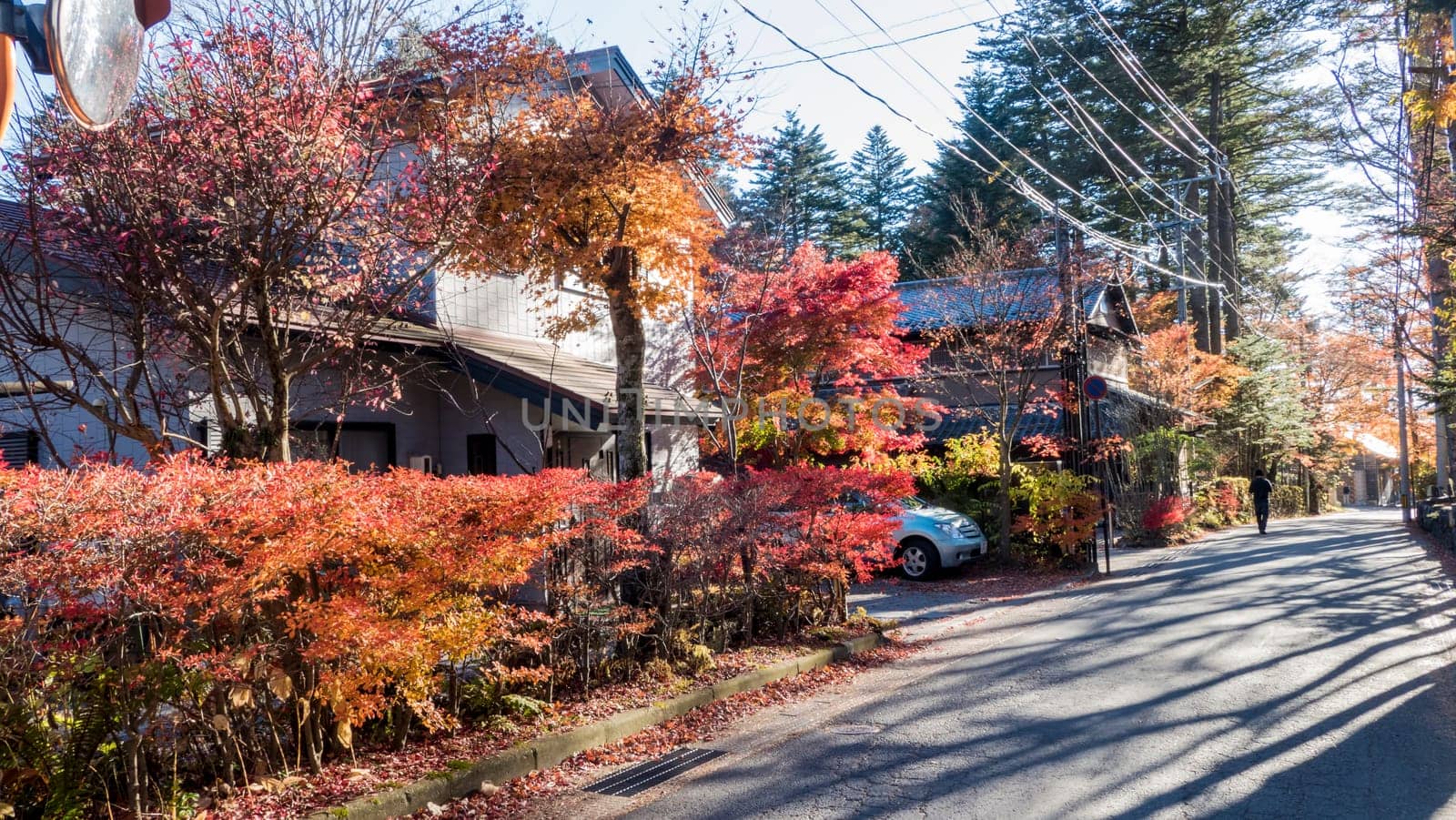 Autumn color of pond, Karuizawa, Nagano, Japan