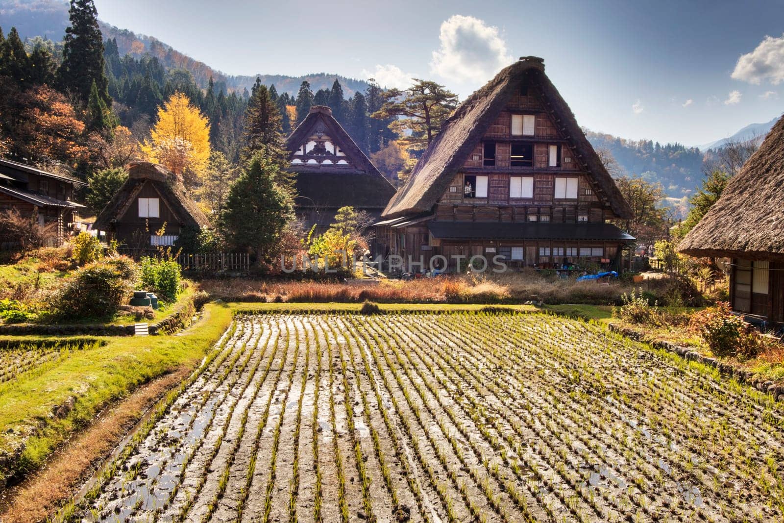 Traditional and Historical Japanese village Ogimachi - Shirakawa-go, Japan