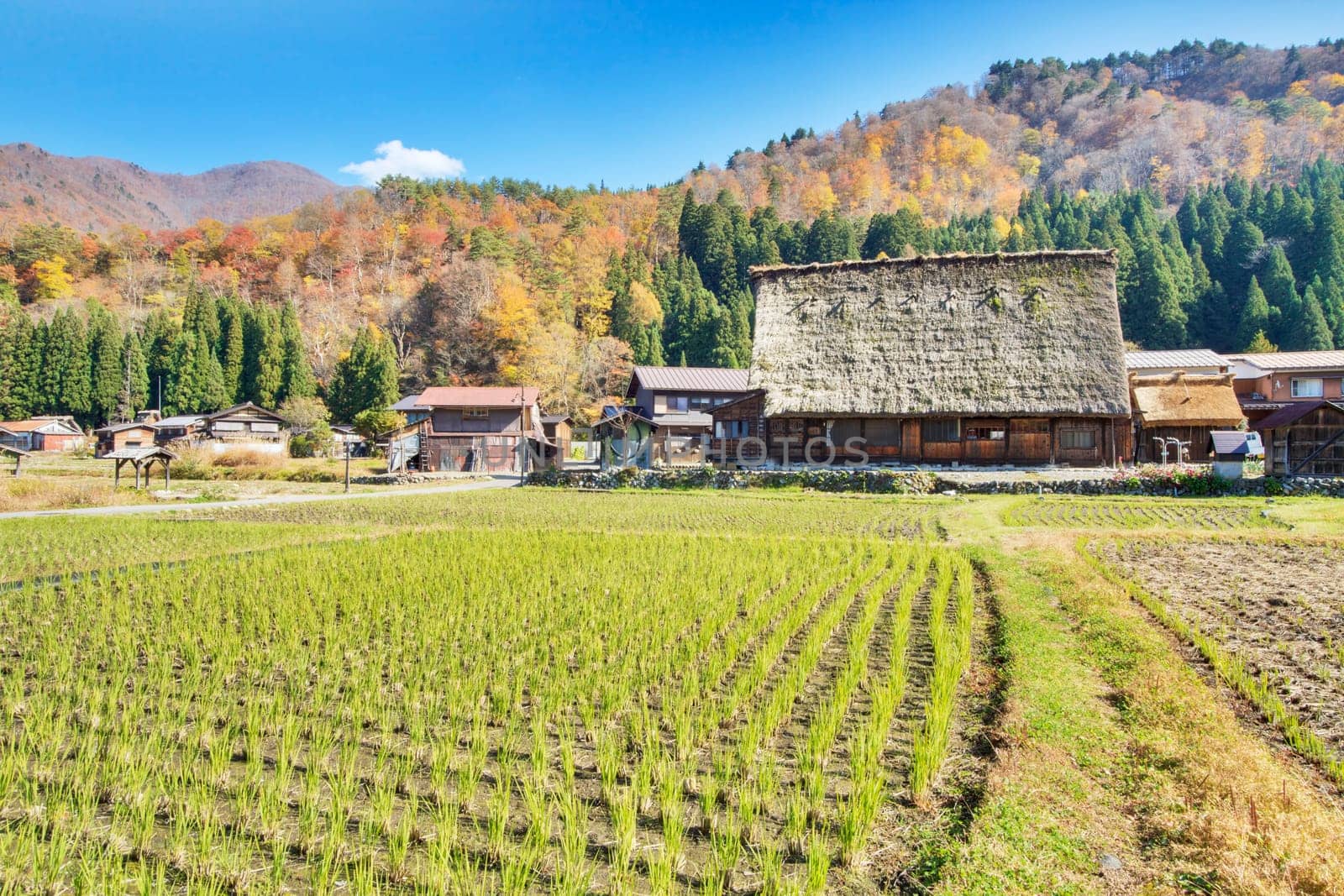 Traditional and Historical Japanese village Ogimachi - Shirakawa-go, Japan