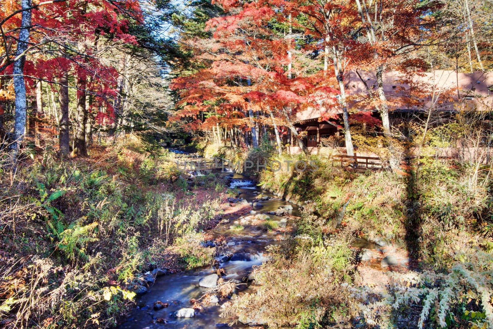 Autumn color of pond, Karuizawa, Nagano, Japan