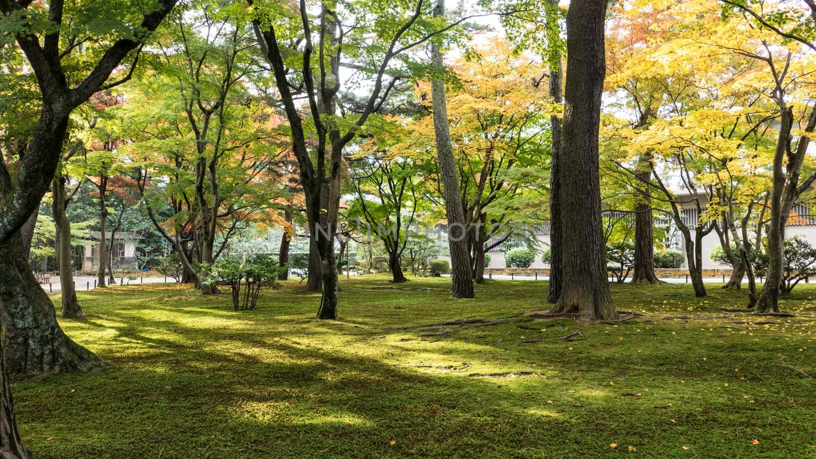 Kasumiga-ike Pond at Kenrokuen Garden in Kanazawa for adv or others purpose use