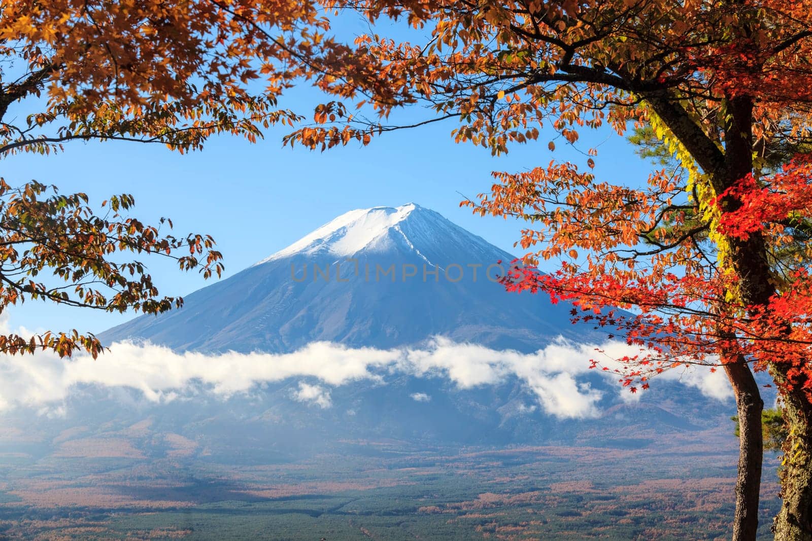 Mountain Fuji in Japan for adv or others purupose use