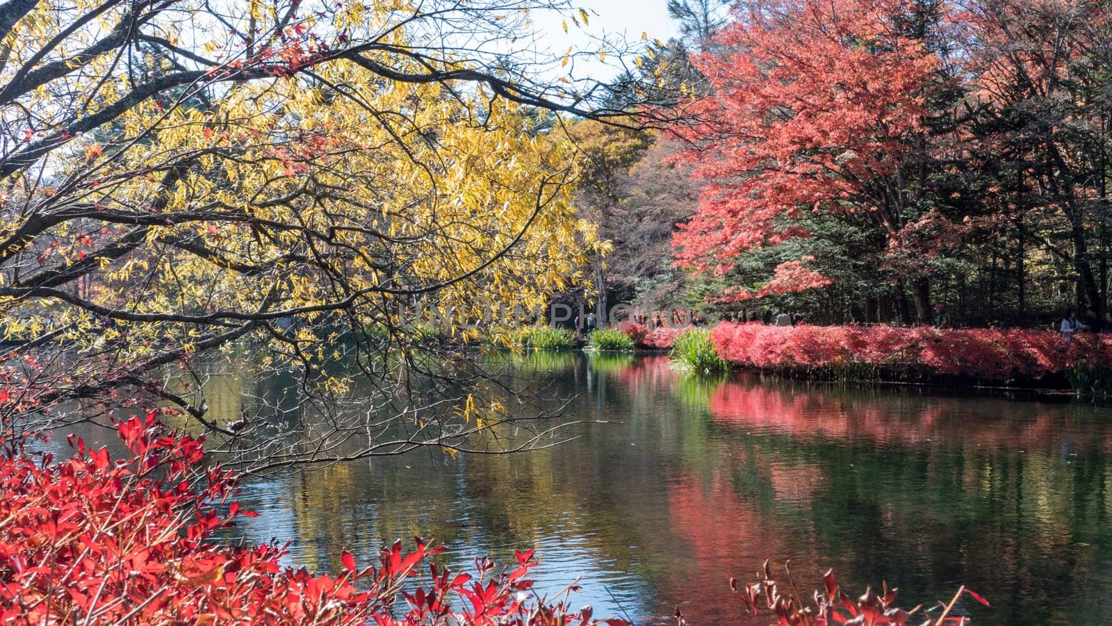 Autumn color of pond, Karuizawa, Nagano, Japan