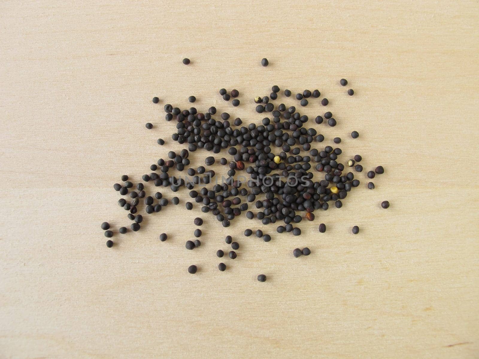 Rapeseed seeds