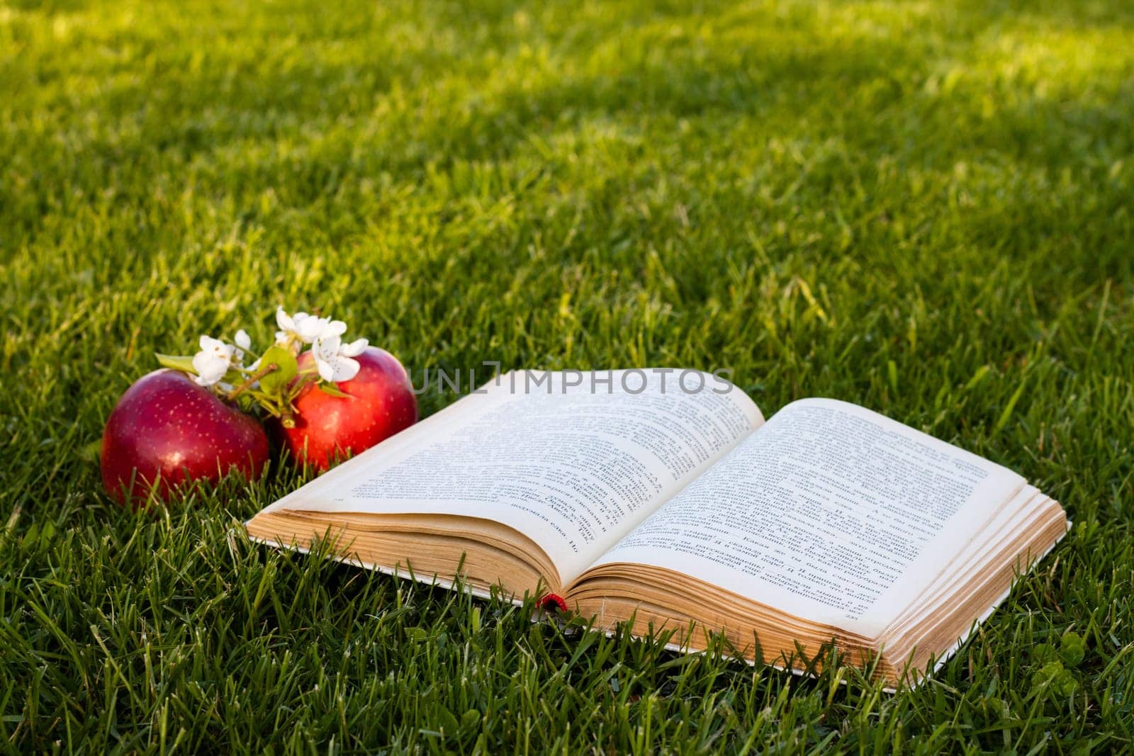 Open book on green grass with fresh red apples and a pear flowers
