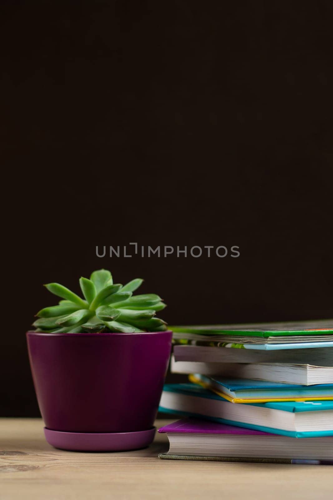 Stack of books on a table and a ceramic pot with a succulent plant. Copyspace. Home schooling and reading enjoyment concept.