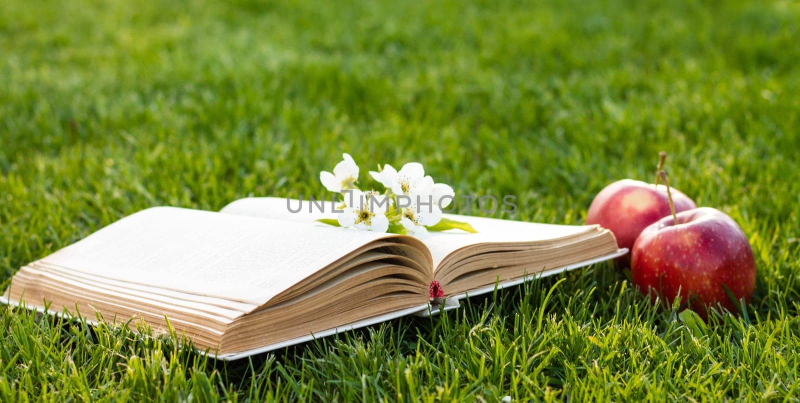 Open book on green grass with fresh red apples and a pear flower.