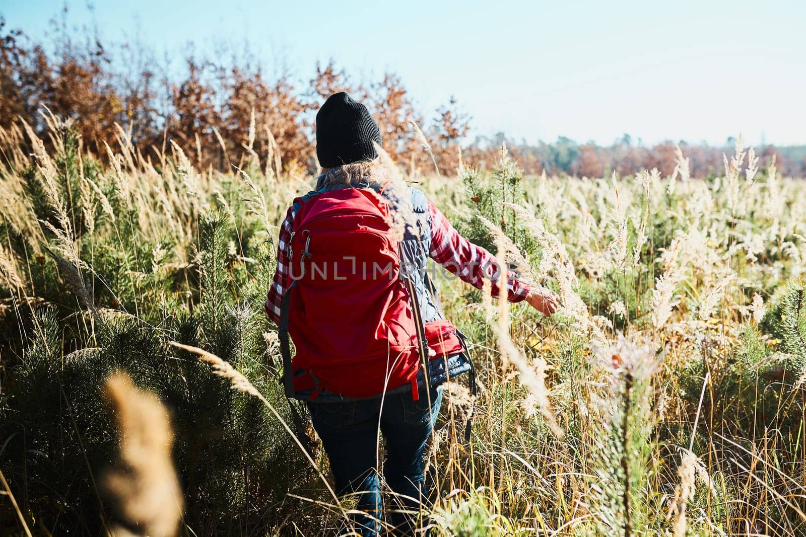 Rear view of young woman hiking on summer sunny day. Woman with backpack hiking through tall grass along path in mountains. Spending summer vacation close to nature