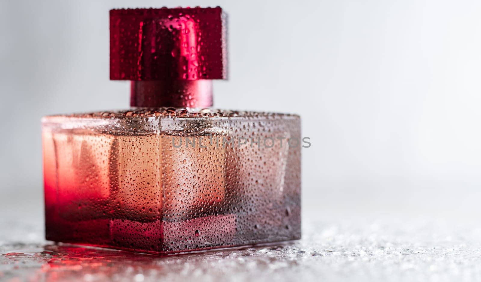 Pink burgundy square perfume bottle on a glossy surface with water drops. Eau de Toilette. Copy space. Banner