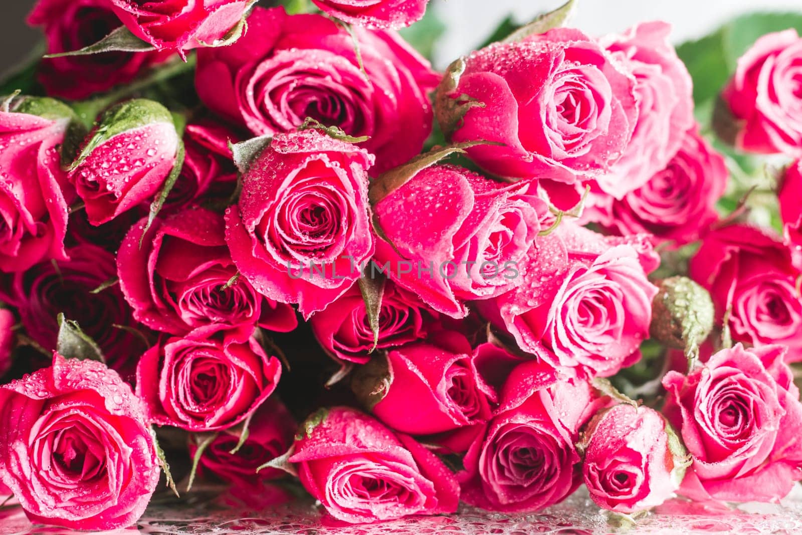Blurred creative background of pink rose flowers. Partially defocused roses on glossy surface with water drops