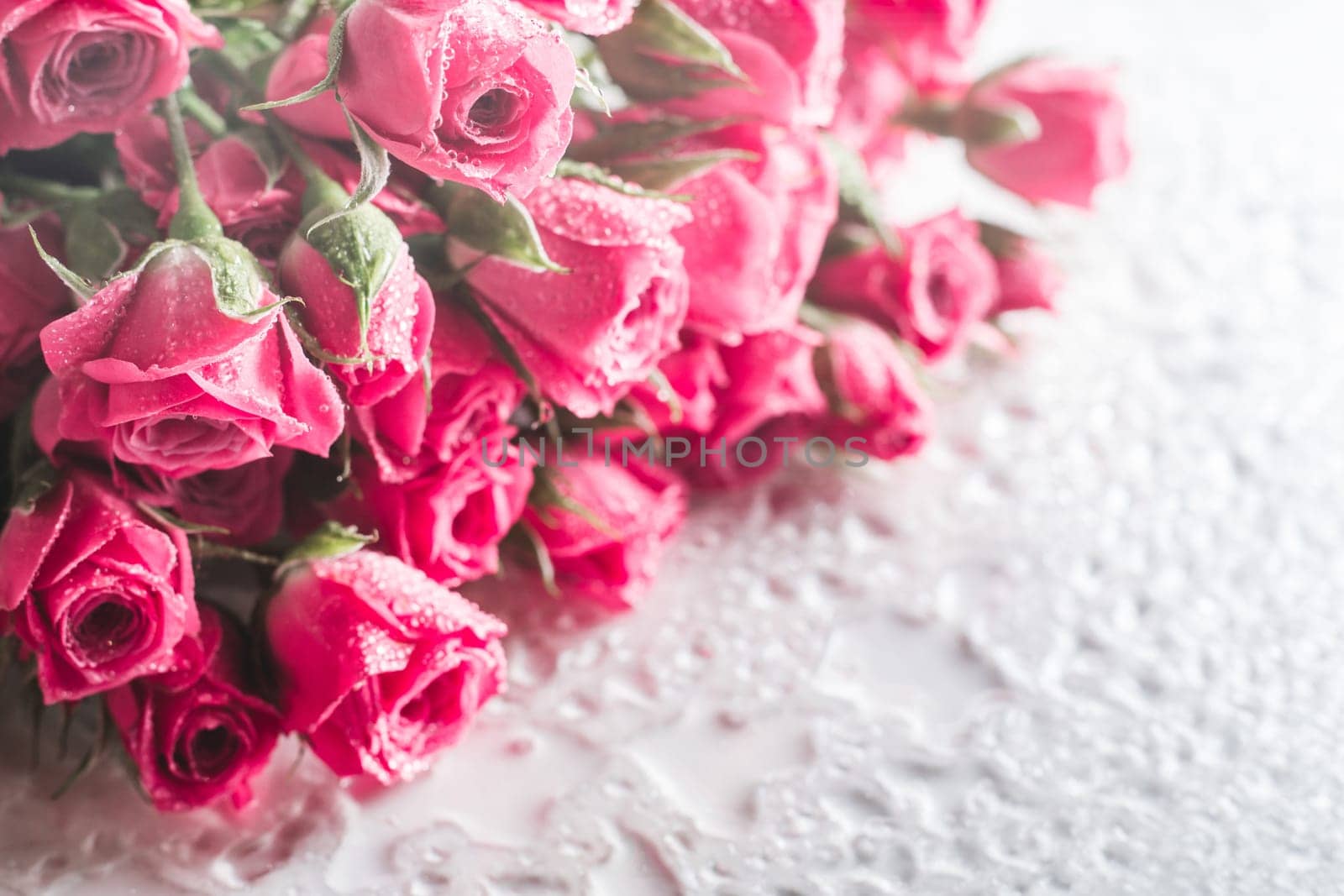 Blurred creative background of pink rose flowers. Partially defocused roses on glossy surface with water drops. Copy space