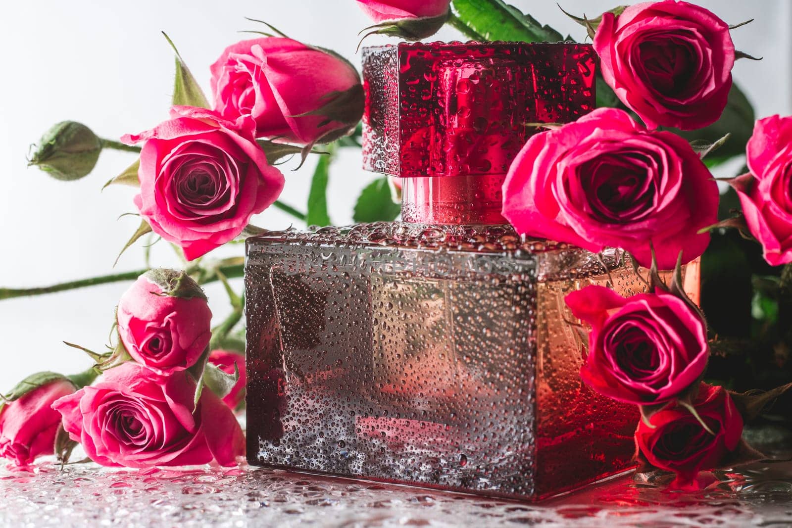 Burgundy square perfume bottle on glossy surface with delicate pink roses and water drops. Eau de Toilette.