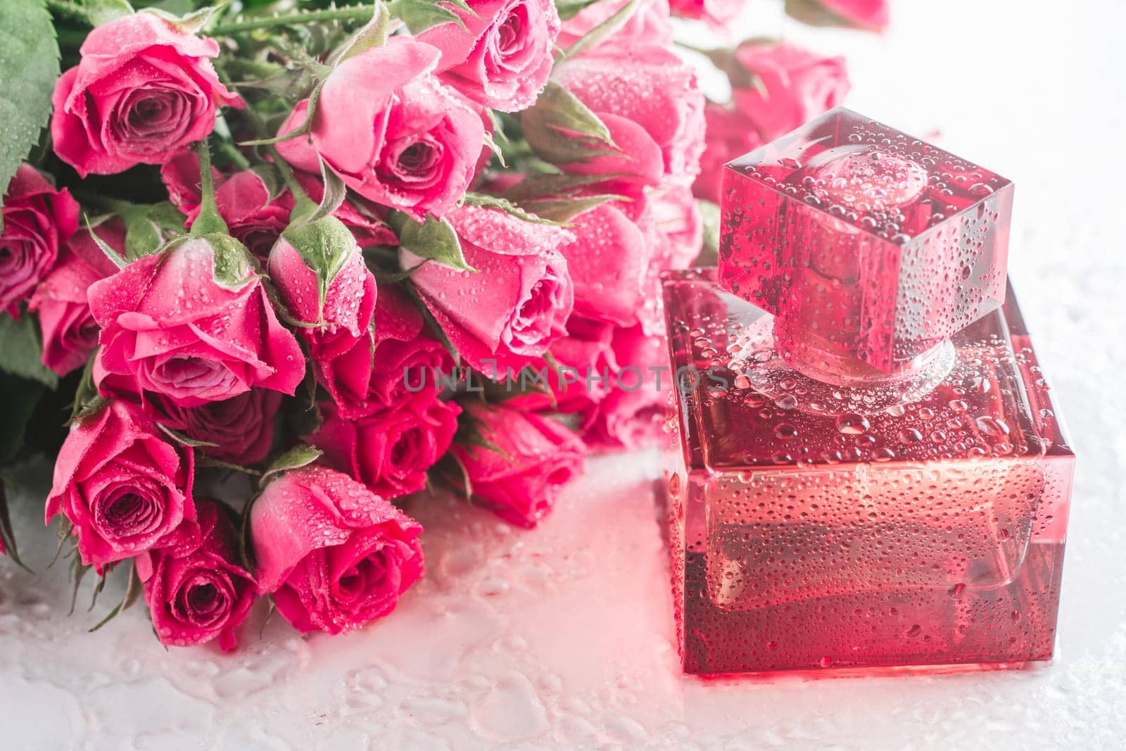 Burgundy square perfume bottle on glossy surface with delicate pink roses and water drops. Eau de Toilette.