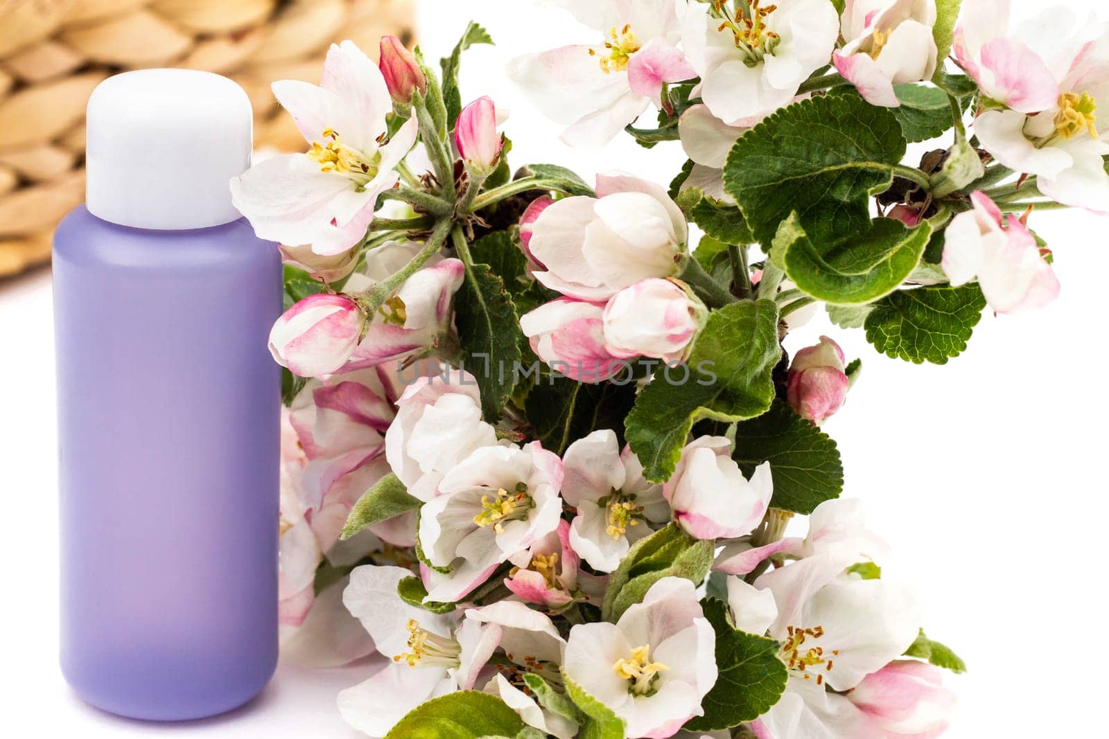 Lilac cosmetic bottle near wicker basket with pear flowers on a white background. Natural organic cosmetics concept