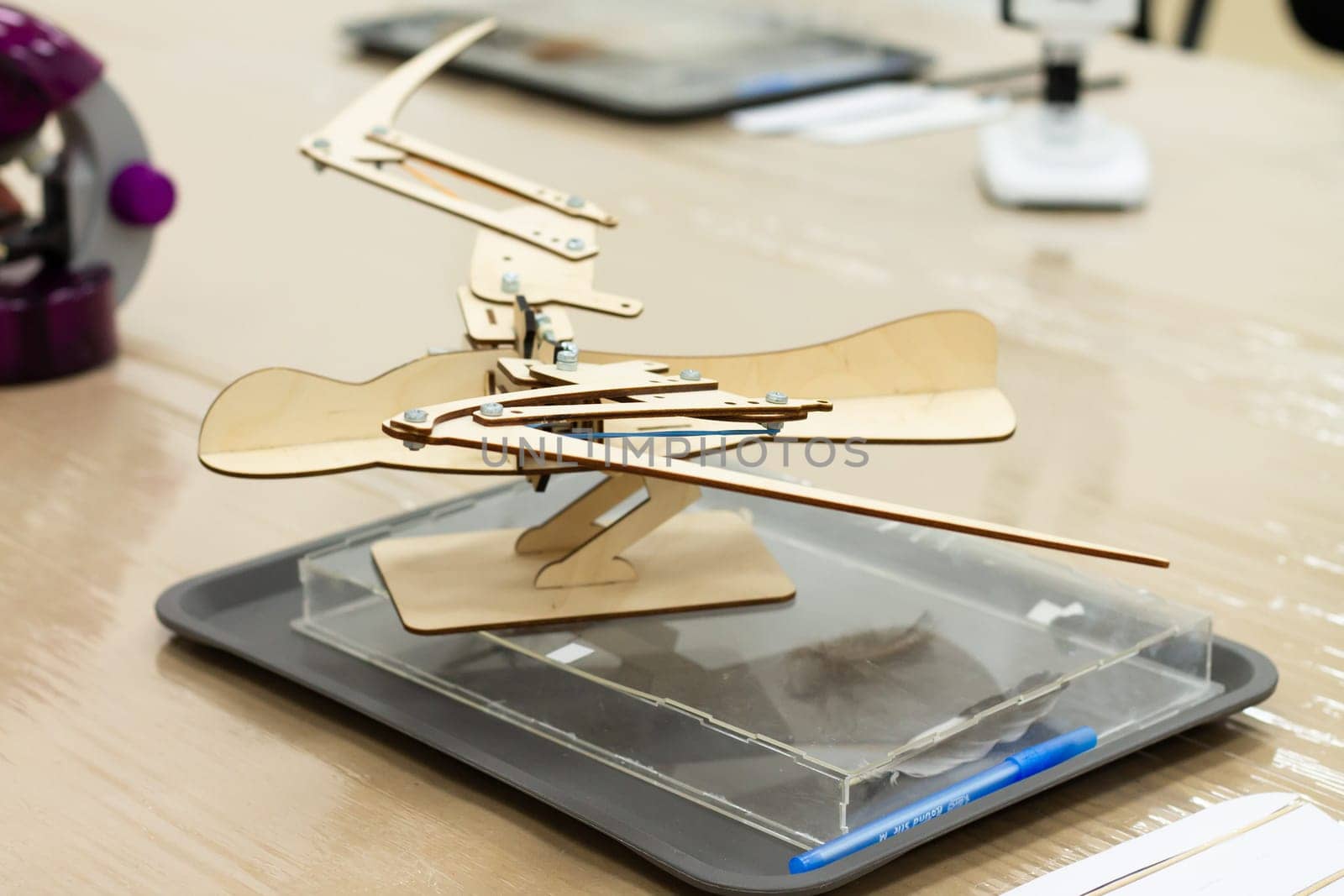 Movable wooden mock-up of a bird skeleton standing on the table at a children's science event
