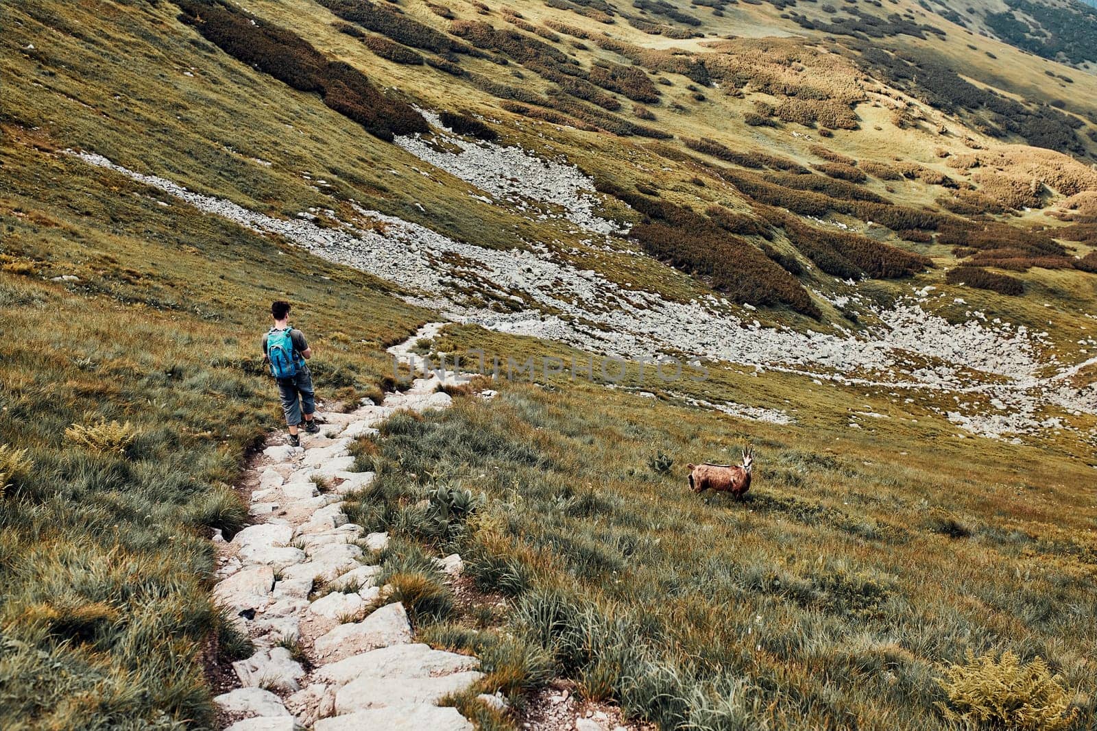 Young man with backpack hiking in a mountains, actively spending summer vacation. Rear view of teenager walking down from top of a hill to valley along mountain footpath