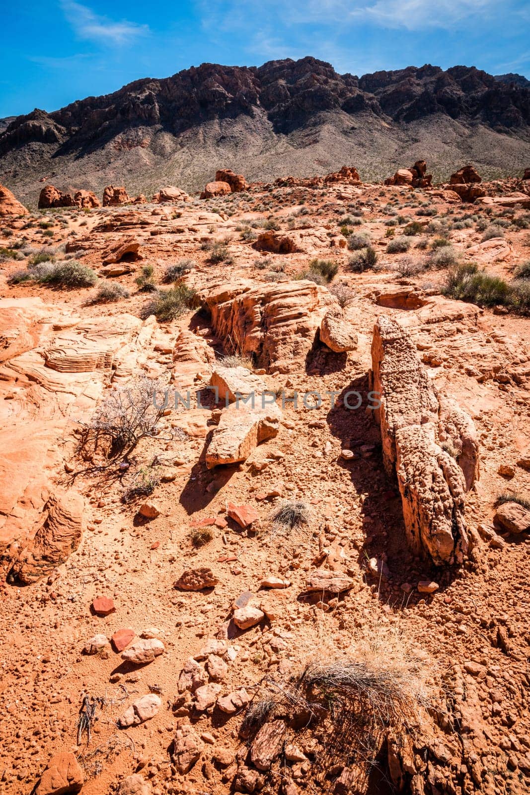 Desert landscape in Valley of Fire State Park in Nevada