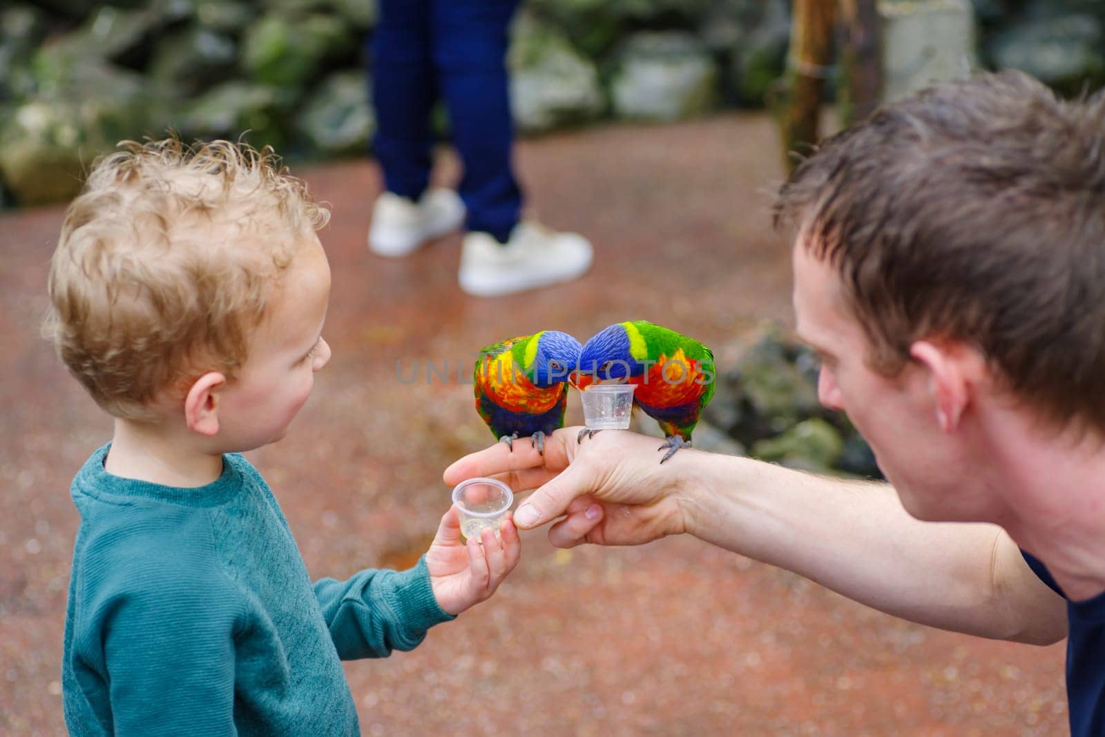 LUTTELGEEST, NETHERLANDS - MARCH 19, 2023: Unknown child and man feeding some parrots in a birdhouse