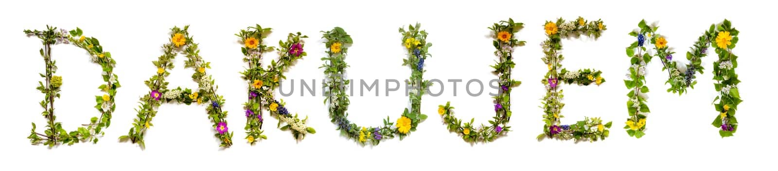 Colorful Flowers Building Slovakian Text Dakujem, Means Thank You in English, Some Green And Some Spring Flowers on Isolated White Background, Symbolic Meaning, Quote