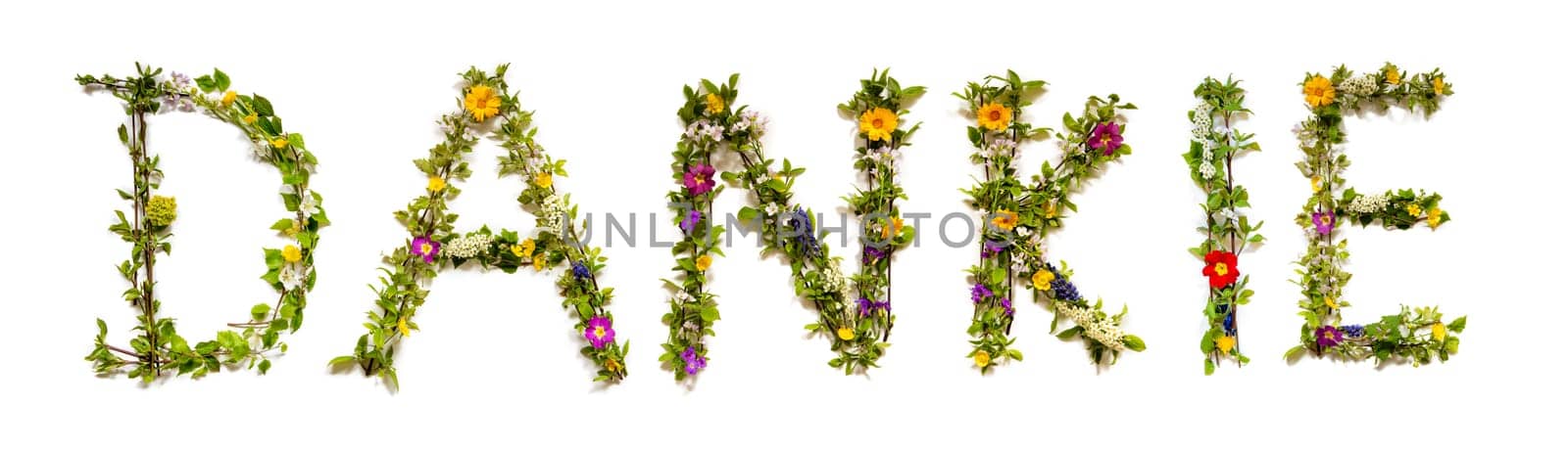 Colorful Flowers Building African Text Dankie, Means Thank You in English, Some Green And Some Spring Flowers on Isolated White Background, Symbolic Meaning, Quote