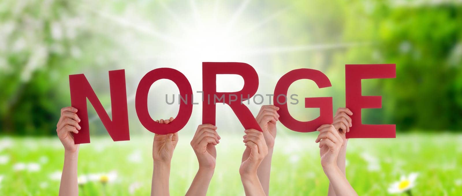 People Or Persons Hands Building Norwegian Word Norge Means Norway. Sunny Green Grass Meadow As Background.