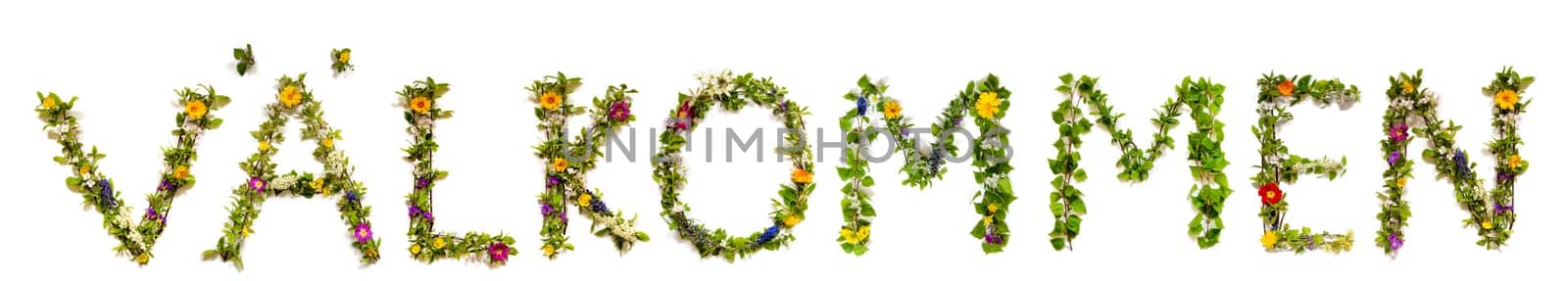 Colorful Flowers Building Swedish Text Välkommen, Means Welcome in English, Some Green And Some Spring Flowers on Isolated White Background, Symbolic Meaning, Quote