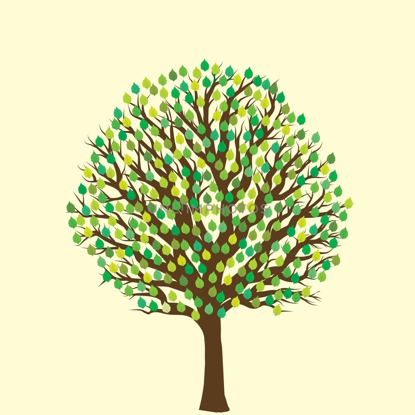 Tree with green leaves isolated on yellow background