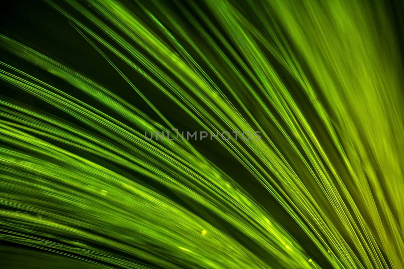 Blurry fiber optics, background image, technology concept of data transfer and communication.