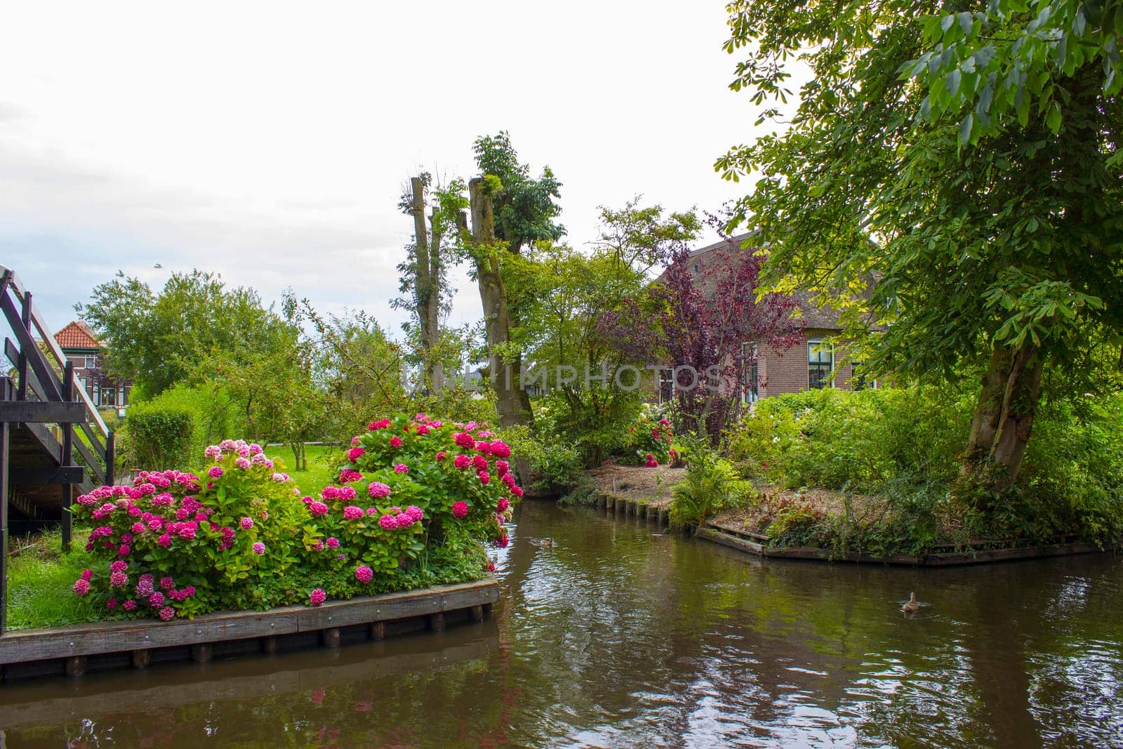 GIETHOORN, NETHERLANDS -typical dutch county side of houses and gardens