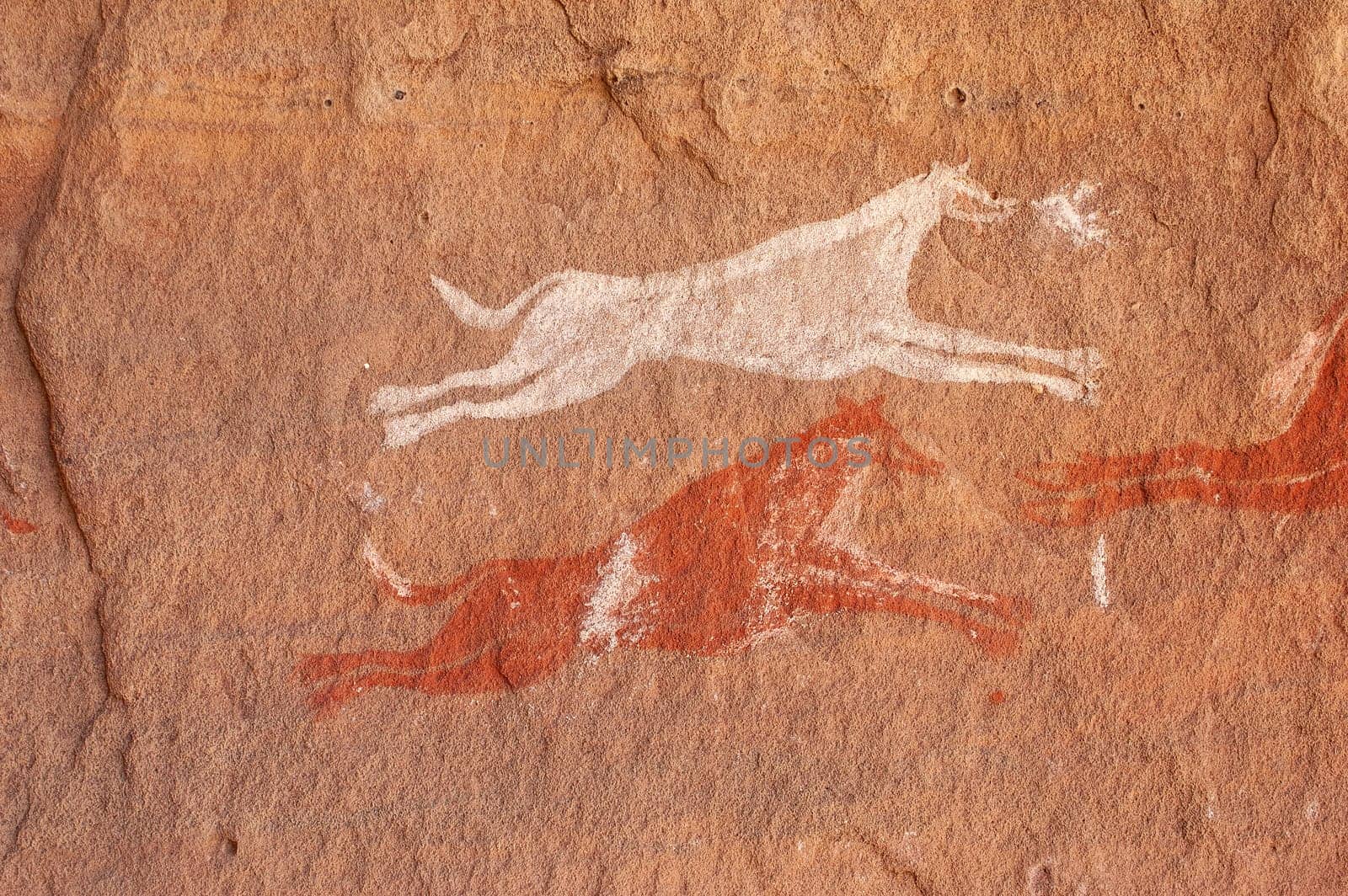 Prehistoric Petroglyphs - Rock Art - Akakus (Acacus) Mountains, Sahara, Libya