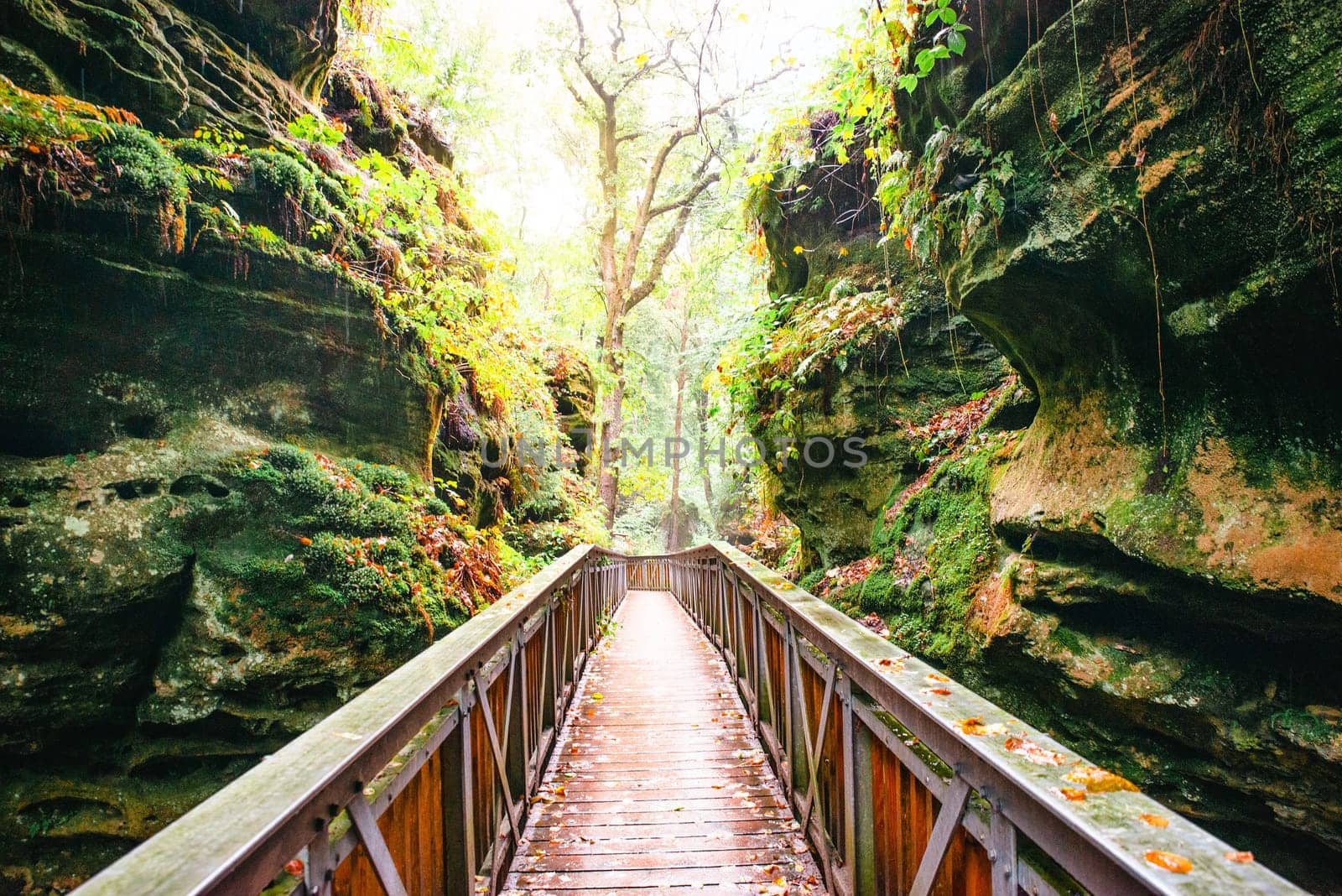 Mullerthal trail in Luxembourg between Echternach and Berdorf, hiking through a forest with sandstone rock formations