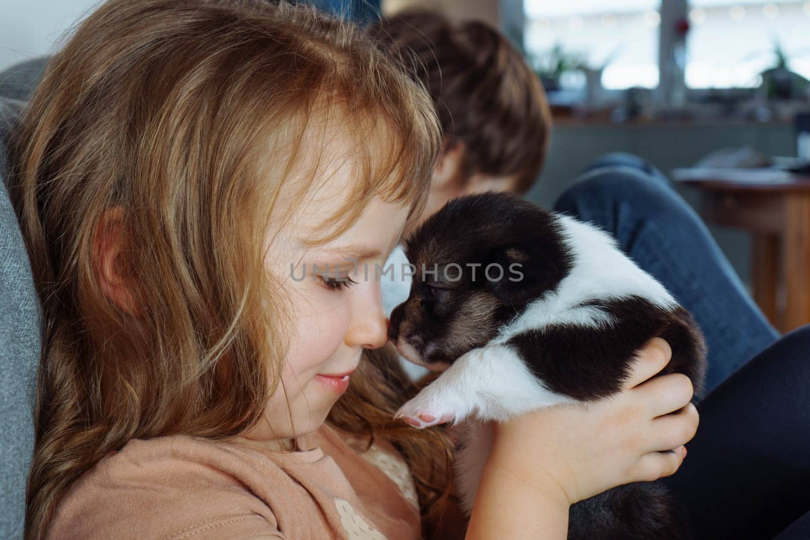 Charming noses. Happy girl with long hair is sitting on sofa, holdingcharming puppy in her hands and touching her nose with its nose. Children and dogs. Moments of tenderness. Positive emotions.