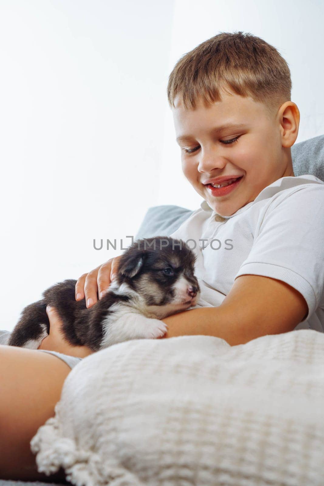 Caring for and caring for pets. Charming Welsh corgi puppy, who recently opened his eyes, lies on lap of teenage boy. Love and happiness. Positive emotions. Happy childhood. Wonderful moments.