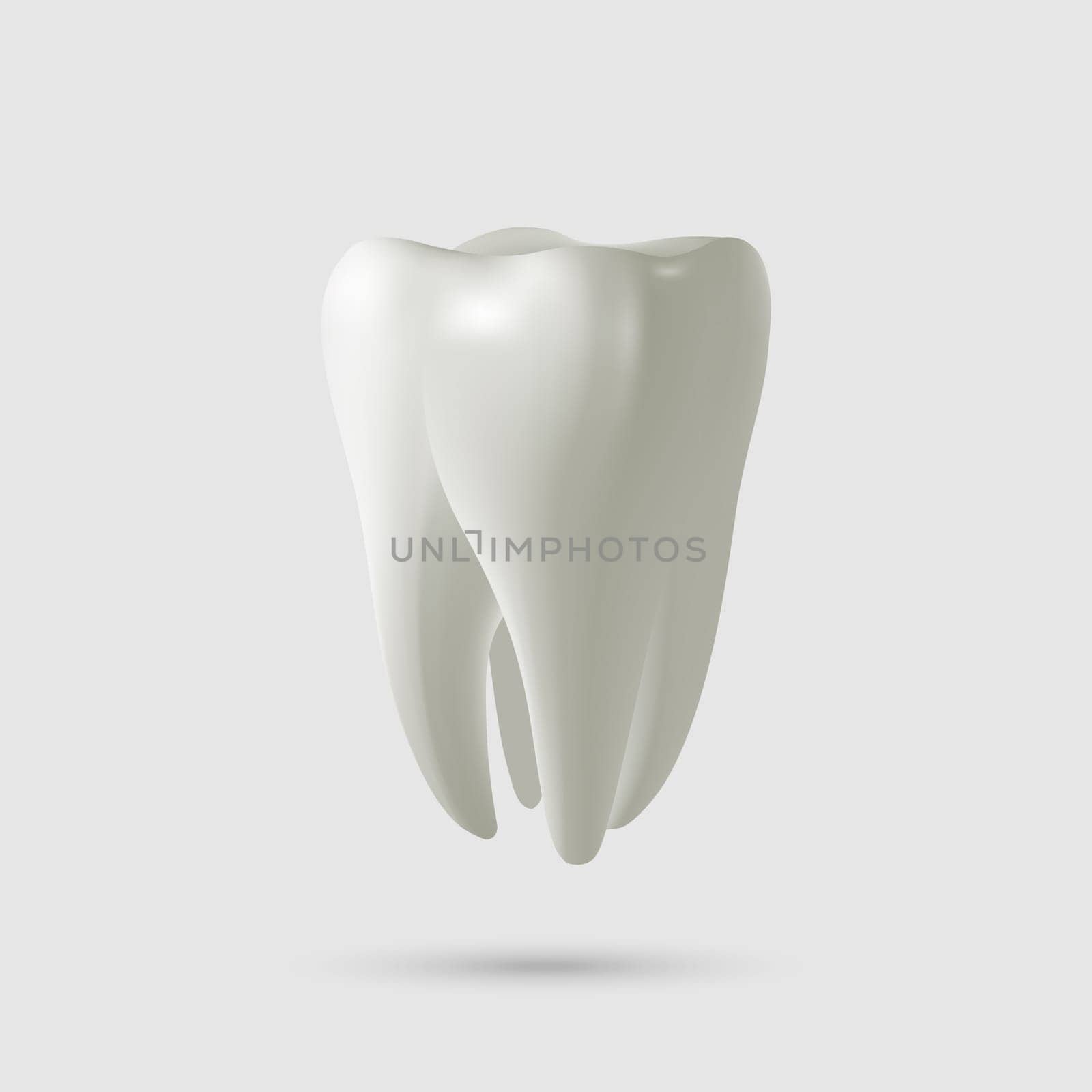 Realistic tooth isolated on white. Vector illustration.