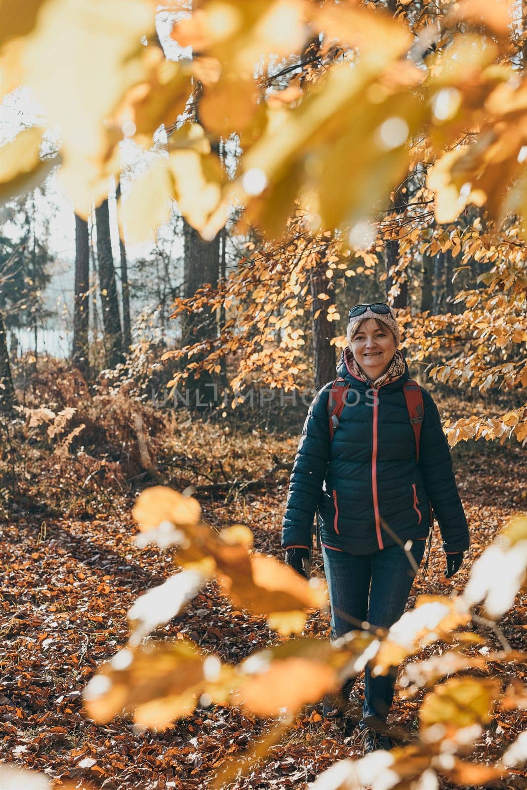 Woman with backpack wandering in a forest on autumn sunny day. Front view of middle age active woman actively spending leisure time going along forest path among trees with yellow leaves