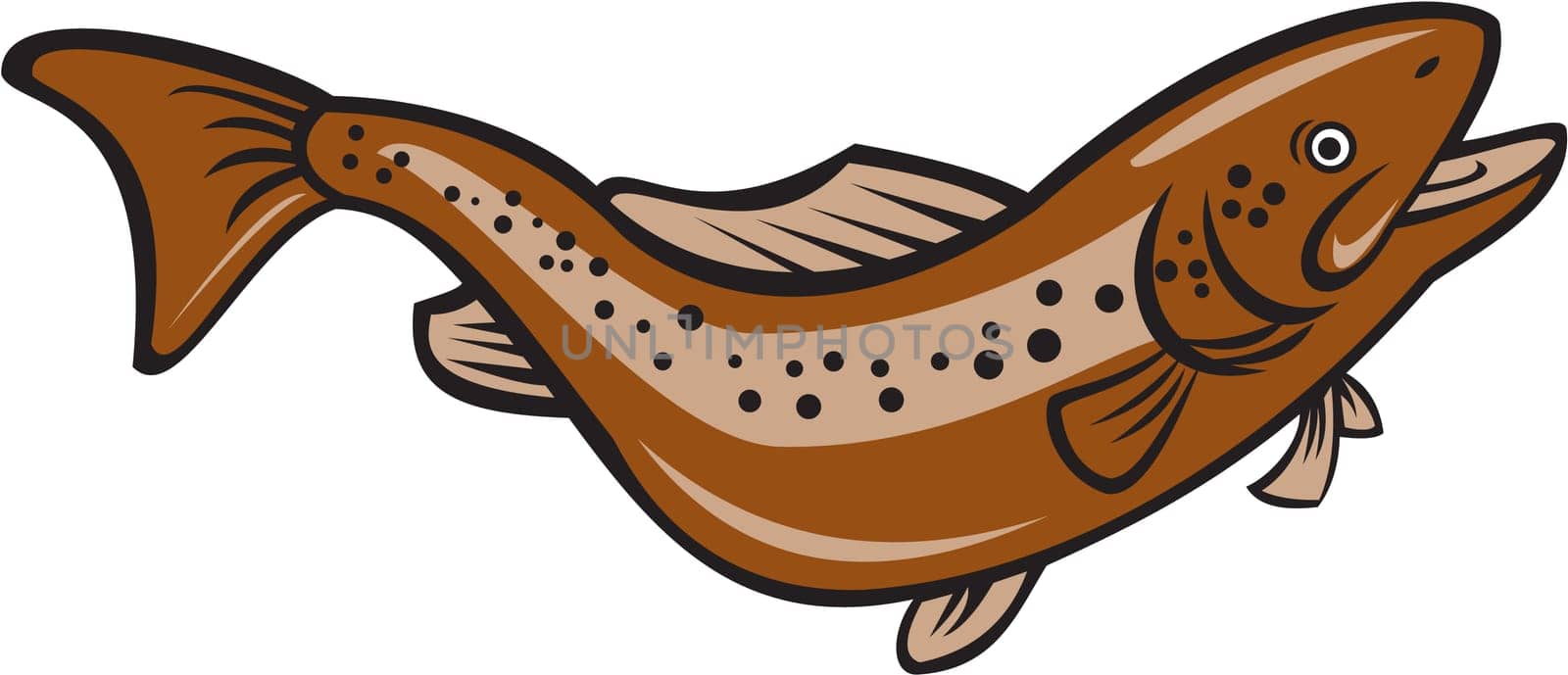 Illustration of a brown trout rainbow spotted fish jumping viewed from the side set on isolated white background done in cartoon style.